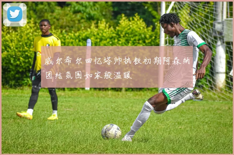 威尔希尔回忆塔帅执教初期阿森纳团结氛围如家般温暖